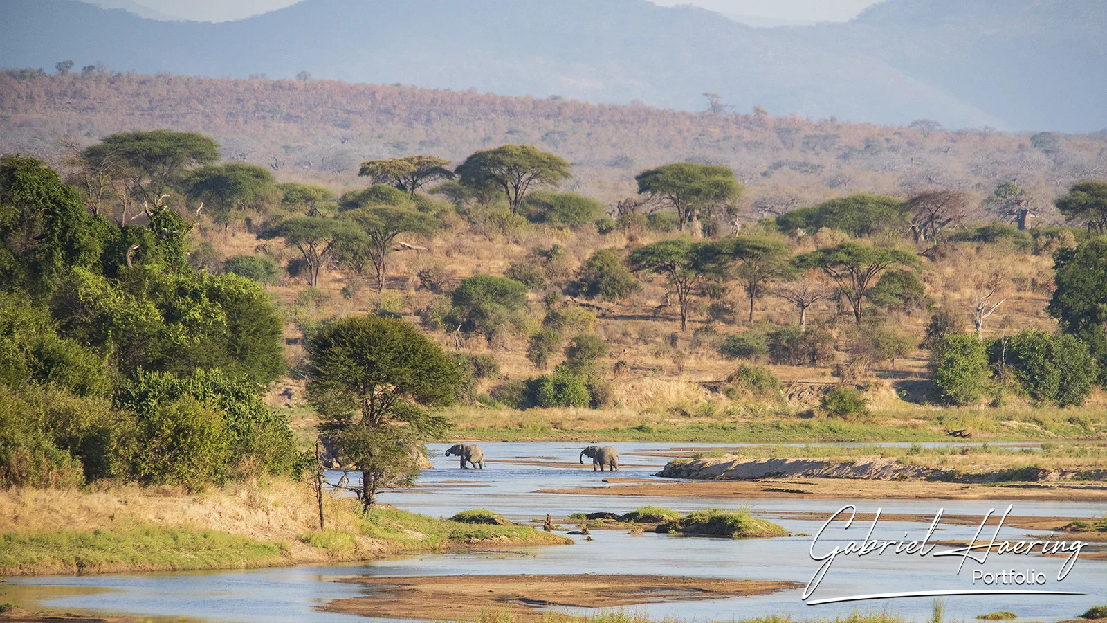 Foto safari sud Tanzania