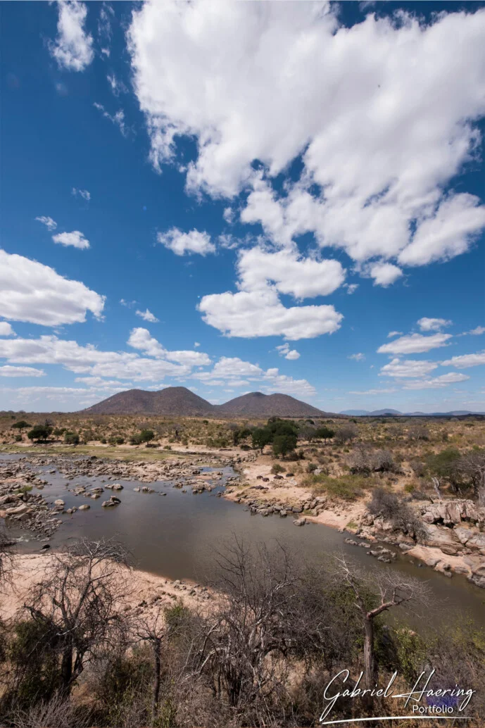 Safari Fotografico Ruaha in Tanzania