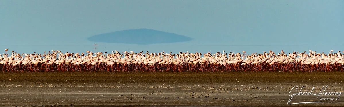 Safari fotografico Lago Natron in Tanzania