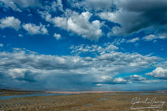 Safari fotografico nel nord della Tanzania visitando il lago Natron e i suoi flamingo all