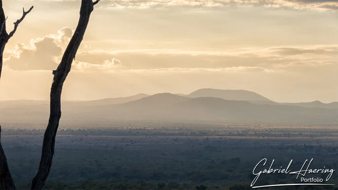 Safari fotografico Mikumi in Tanzania