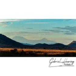 Unisciti a noi in un safari fotografico unico nel Parco Nazionale di Mkomazi, nel nord della Tanzania, abbinato a Tarangire, Ngorongoro e Serengeti (oppure Lago Natron).