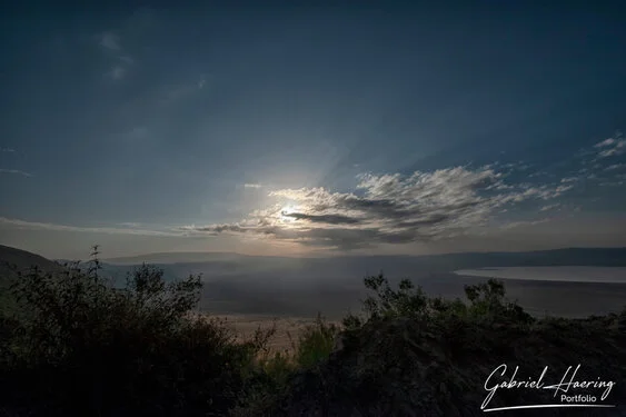 Safari fotografico Tarangire in Tanzania combinato con  Ngorongoro e grande migrazione Serengeti periodo delle nascite nel sud Serengeti