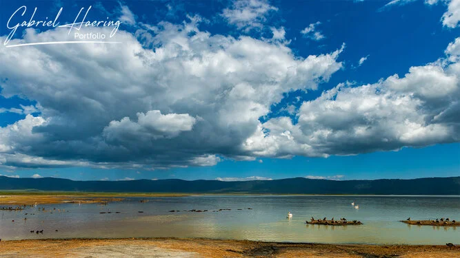 Safari fotografico Tarangire in Tanzania combinato con  Ngorongoro e grande migrazione Serengeti periodo delle nascite nel sud Serengeti
