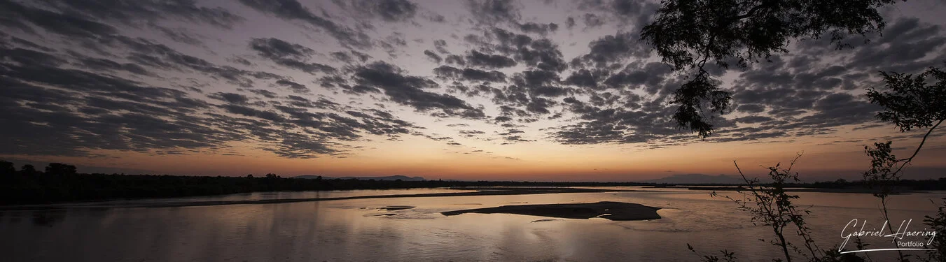 Safari fotografico nel sud-ovest della Tanzania visitando Nyerere (Selous) e Ruaha nel periodo dopo le pioggie e prima dell