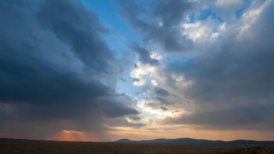 Safari fotografico Tarangire in Tanzania combinato con  Ngorongoro e grande migrazione Serengeti periodo delle nascite nel sud Serengeti
