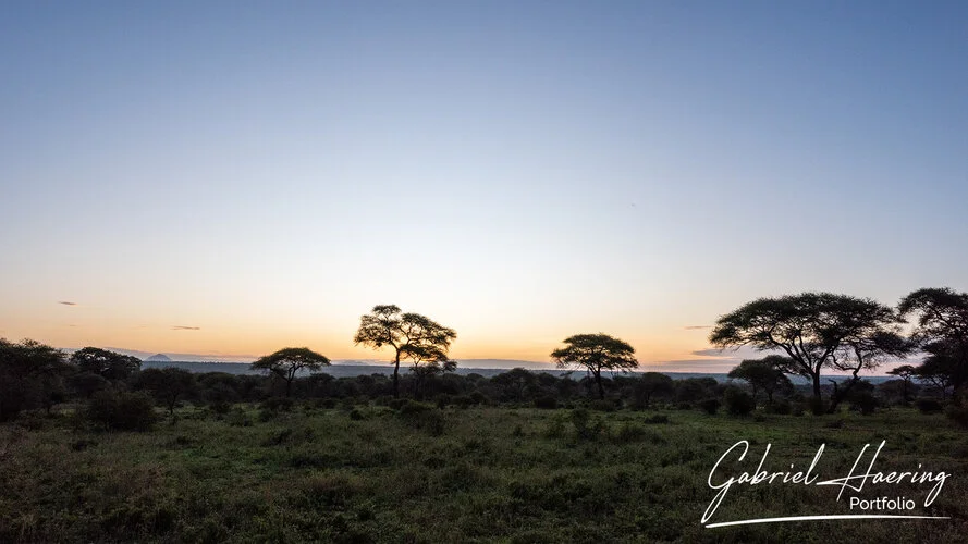 Safari fotografico Tarangire in Tanzania