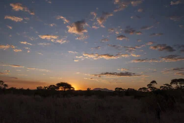 Safari Fotogafico Nyerere e Ruaha in Tanzania