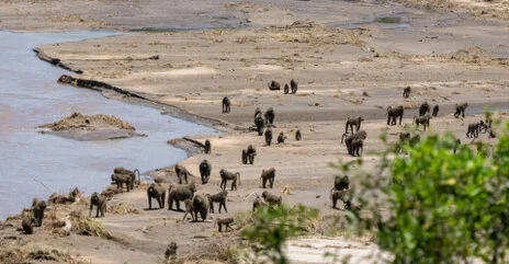 Bird watching photo safari northern Tanzania