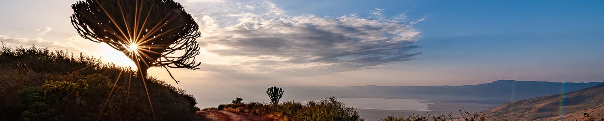 Un safari fotografico per vivere la stagione delle nascite della grande migrazione nel sud serengeti in Tanzania. Combinato con Tarangire e Ngorongoro